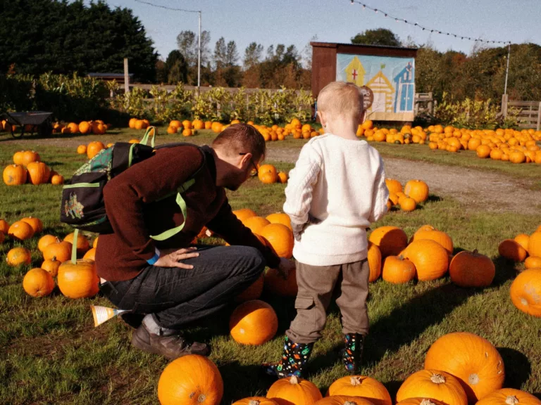 Family picking pumpkins.